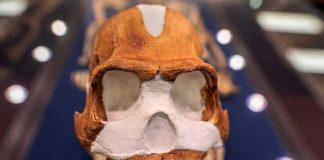 Las tumbas más antiguas del mundo que se remontan al 200.000 a. C., están en África