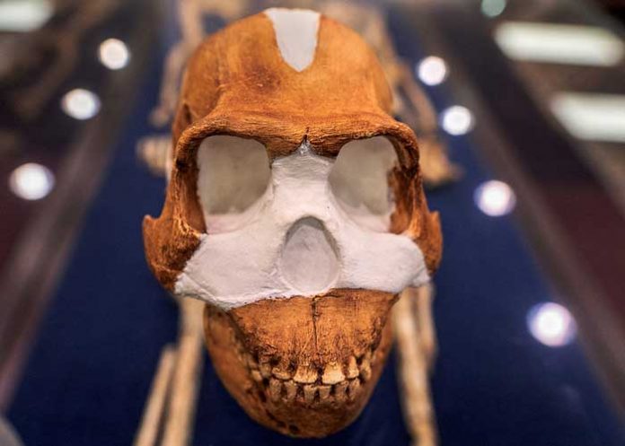 1 Las tumbas más antiguas del mundo que se remontan al 200.000 a. C., están en África