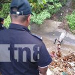 Hombre y su caballo se salvan de morir tras ser arrastrados por corriente de agua en Managua Foto: Hombre y su caballo se salvan de morir tras ser arrastrados por corriente de agua en Managua / TN8