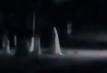 Graban una figura que cruza una calle de México, ¿será la llorona? Graban una figura que cruza una calle de México, ¿será la llorona?