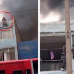 Hombre rescata 25 perros de un incendio
