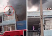 Lo más lindo que verás hoy: Hombre rescata 25 perros de un incendio Hombre rescata 25 perros de un incendio