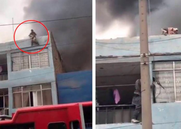 1 Hombre rescata 25 perros de un incendio