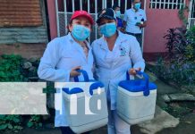 Durante la última semana se reportan menos contagios de Leptospirosis y Malaria