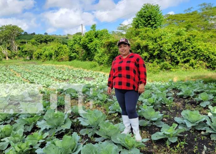 El Huerto de Lilliam un emprendimiento con gran crecimiento en Jinotega