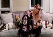 Lady Gaga no pagará recompensa de sus perros a mujer "sinvergüenza"