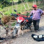 Ejército de Nicaragua captura varios sujetos en Nueva Segovia