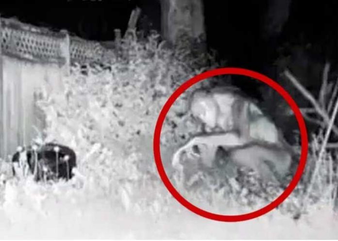 ¿Será real? Cámara de seguridad graba 