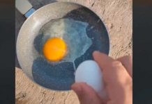 ¡Solo mate! Tiktoker cocino un huevo con el calor del sol en la calle