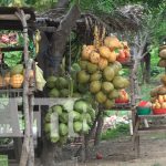 Rivas: Potosí "Tierra de productores y atractivos paisajes"