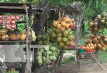 Rivas: Potosí «Tierra de productores y atractivos paisajes» Rivas: Potosí "Tierra de productores y atractivos paisajes"