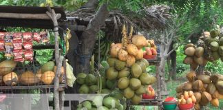 Rivas: Potosí "Tierra de productores y atractivos paisajes"