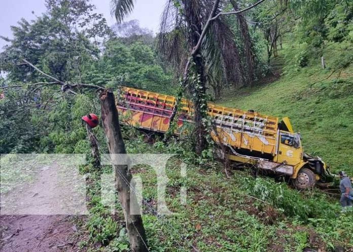 1 Foto: Conductor de camión vivo de milagro tras accidente en comarca Gateada, Villa Sandino / TN8