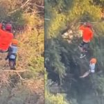 Espeluznante video: Niño de 6 años se cae de una tirolesa en Monterrey