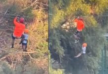 Espeluznante video: Niño de 6 años se cae de una tirolesa en México Espeluznante video: Niño de 6 años se cae de una tirolesa en Monterrey