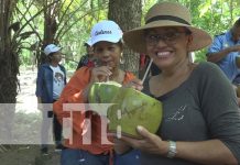 ¡Tierras Pinoleras! Rivas: Cárdenas, destino turístico verde al sur de nuestro país Foto: ¡Tierras Pinoleras! Rivas: Cárdenas, destino turístico verde al sur de nuestro país / TN8