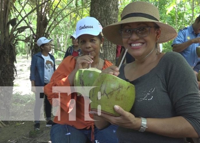 Foto: ¡Tierras Pinoleras! Rivas: Cárdenas, destino turístico verde al sur de nuestro país / TN8