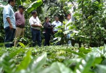 Cooperativas en Nicaragua son un modelo económico que aporta al crecimiento de diferentes rubros Foto:Cooperativas en Nicaragua son un modelo económico que aporta al crecimiento de diferentes rubros / Cortesía