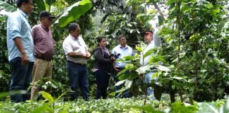 Foto:Cooperativas en Nicaragua son un modelo económico que aporta al crecimiento de diferentes rubros / Cortesía