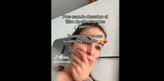 Video: Filtro de TikTok revela cómo ven los perros a los humanos