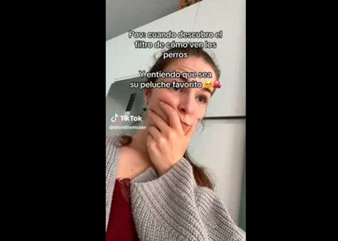Video: Filtro de TikTok revela cómo ven los perros a los humanos