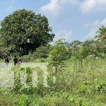 Hallazgo terrorífico: Encuentran cuerpo de hombre en predio de Chinandega Foto: Hallazgo terrorífico: Encuentran cuerpo de hombre en predio de Chinandega / TN8