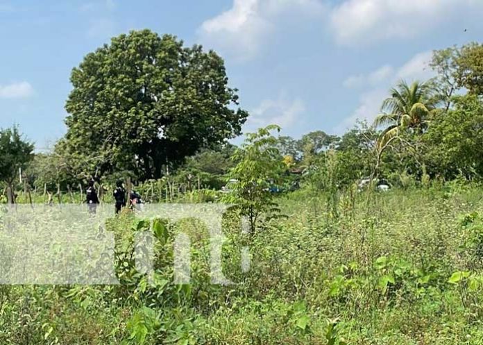 2 Foto: Hallazgo terrorífico: Encuentran cuerpo de hombre en predio de Chinandega / TN8