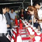 Realizan en Matagalpa la selección de la taza de la excelencia del café Foto: Realizan en Matagalpa la selección de la taza de la excelencia del café / TN8
