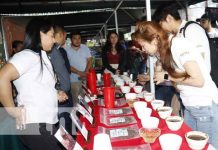 Foto: Realizan en Matagalpa la selección de la taza de la excelencia del café / TN8