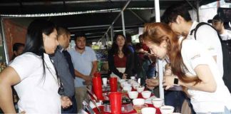 Foto: Realizan en Matagalpa la selección de la taza de la excelencia del café / TN8