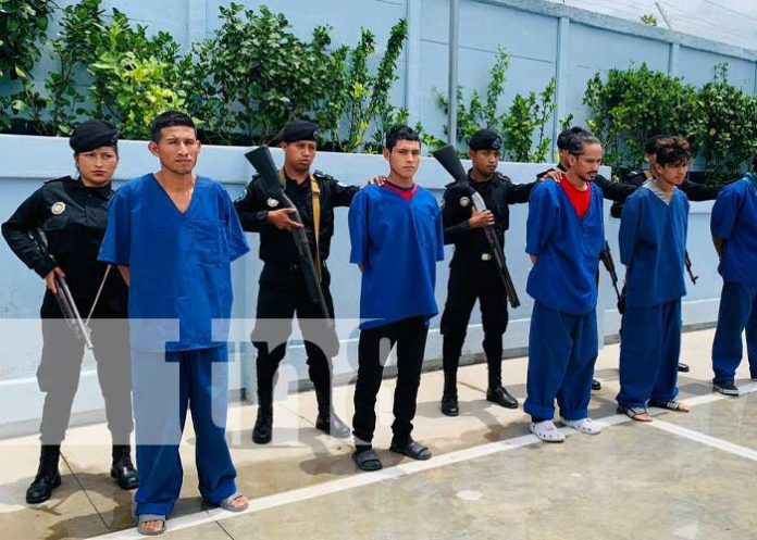 2 Foto: Cero tolerancias ante actuar delictivo en el departamento de Madriz / TN8