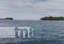 4 marinos vivos de milagro luego que naufragaran en el Mar Caribe Foto: 4 marinos vivos de milagro luego que naufragaran en el Mar Caribe / TN8