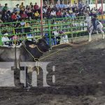 Familias de León disfrutaron del espectacular desfile de gigantonas y toros Foto: Familias de León disfrutaron del espectacular desfile de gigantonas y toros / TN8