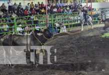Familias de León disfrutaron del espectacular desfile de gigantonas y toros Foto: Familias de León disfrutaron del espectacular desfile de gigantonas y toros / TN8