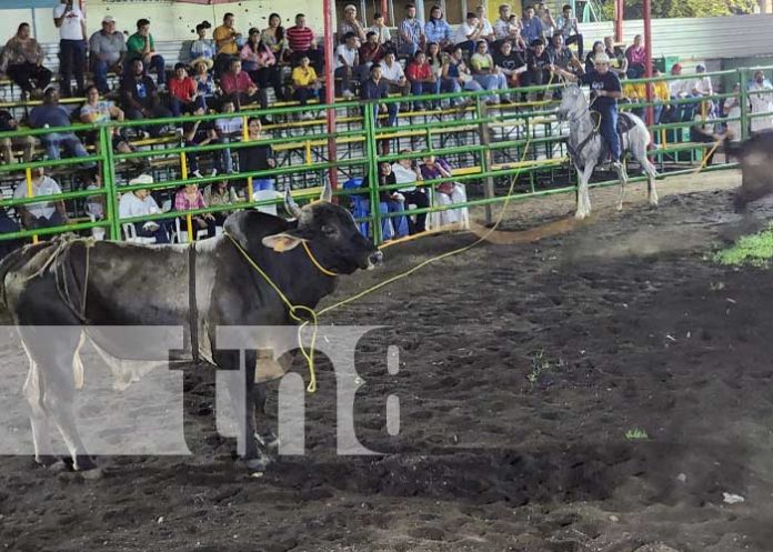 Foto: Familias de León disfrutaron del espectacular desfile de gigantonas y toros / TN8