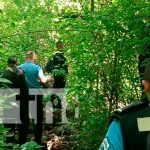 Hombre muere al caer de un árbol mientras cortaba aguacates en Diriamba Hombre muere al caer de un árbol mientras cortaba aguacates en Diriamba