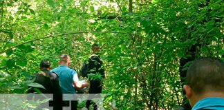 Hombre muere al caer de un árbol mientras cortaba aguacates en Diriamba