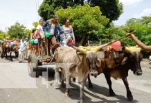 Realizan la tradicional bajada de las varas en Moyogalpa, Isla de Ometepe Realizan la tradicional bajada de las varas en Moyogalpa, Isla de Ometepe