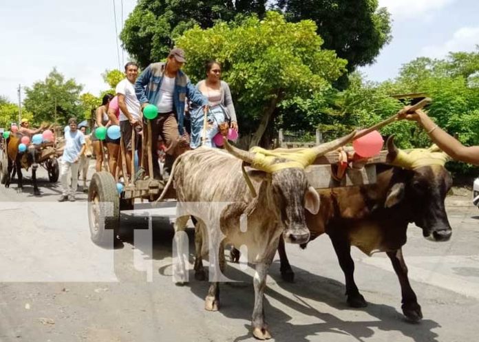 Realizan la tradicional bajada de las varas en Moyogalpa, Isla de Ometepe