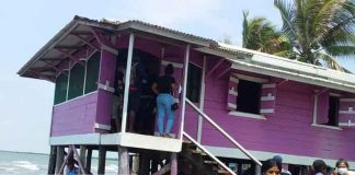 Foto:Encuentran cuerpo sin vida de un capitán de velero desaparecido en Alta Mar / TN8