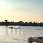 ¡Qué bellos! Captan a delfines de agua dulce en Laguna de Perlas (VIDEO)