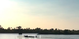 ¡Qué bellos! Captan a delfines de agua dulce en Laguna de Perlas (VIDEO)