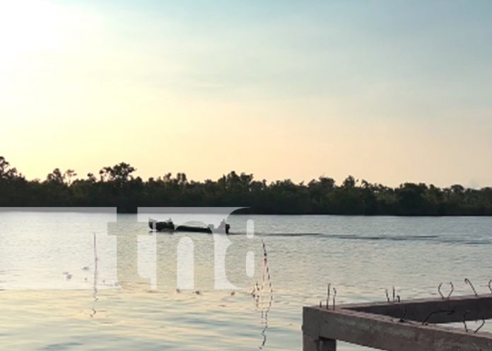 ¡Qué bellos! Captan a delfines de agua dulce en Laguna de Perlas (VIDEO)