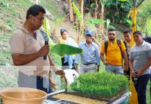INTA inauguró Granja de mejoramiento porcino en San Rafael del Norte, Jinotega