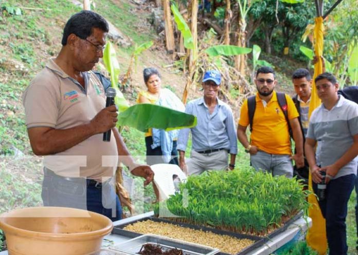 INTA inauguró Granja de mejoramiento porcino en San Rafael del Norte, Jinotega