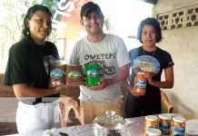 Foto: Café y vino: Emprendimientos con grandes valores agregados en la Isla de Ometepe / TN8