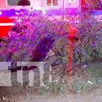 Joven lesionada tras estrellarse contra un árbol en la pista Suburbana, en Managua Joven lesionada tras estrellarse contra un árbol en la pista Suburbana, en Managua