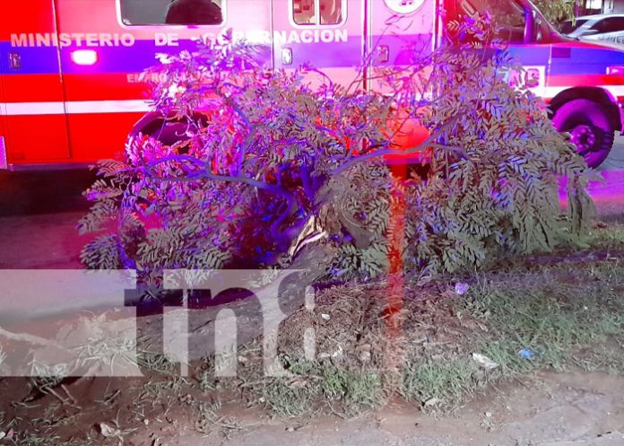 Joven lesionada tras estrellarse contra un árbol en la pista Suburbana, en Managua