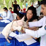 Foto: ¡Feria animal en Granada: Un regalo especial en el Día del Padre! / Cortesía
