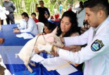 Foto: ¡Feria animal en Granada: Un regalo especial en el Día del Padre! / Cortesía